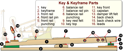 The Key & Keyframe